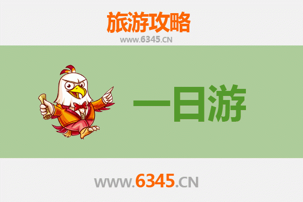 万宁南桥镇一日游攻略：雨林探秘与黎族文化体验