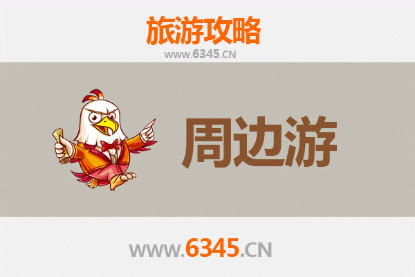 万宁南桥镇深度游攻略：探秘雨林深处的黎苗风情与自然奇观